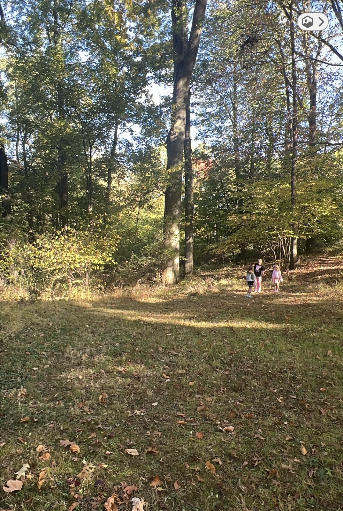 Wooded property at Adell Durbin Park selected for the Say My Child's Name Remembrance Memorial